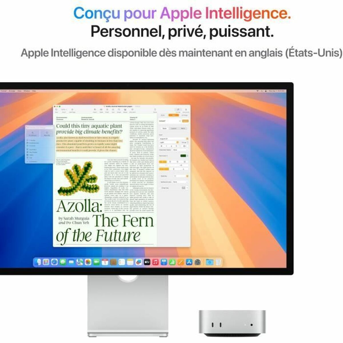 Mini PC Apple Mac mini (2024) Apple M4 chip 512 GB M4 24 GB RAM