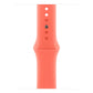 Watch Strap Apple MDT04ZM/A M/L