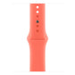 Watch Strap Apple MDT04ZM/A M/L