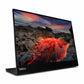 Monitor Lenovo 63FDUAT6WL 14"