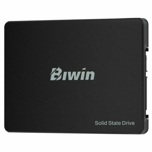 Hard Drive Biwin M100 256 GB SSD