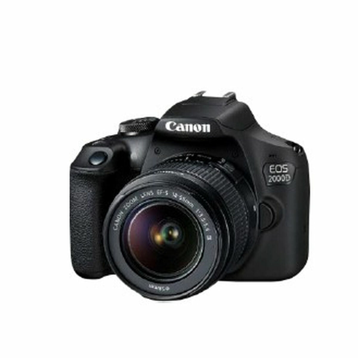 SLR cameras