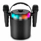 Speakers Ledwood LD-PLAYKARAOKE