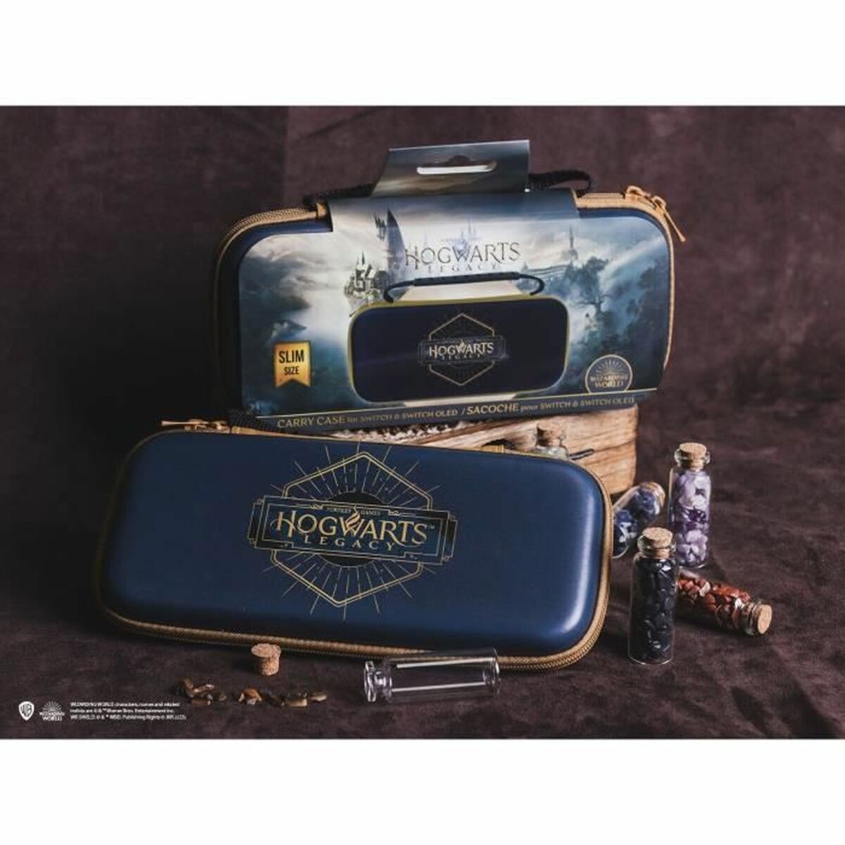 Case for Nintendo Switch