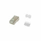 UTP Category 6 Rigid Network Cable Equip 121147 100 Units