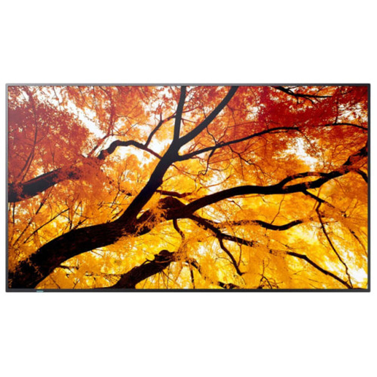 Videowall Monitor Sharp 60006057 4K Ultra HD 74,5"