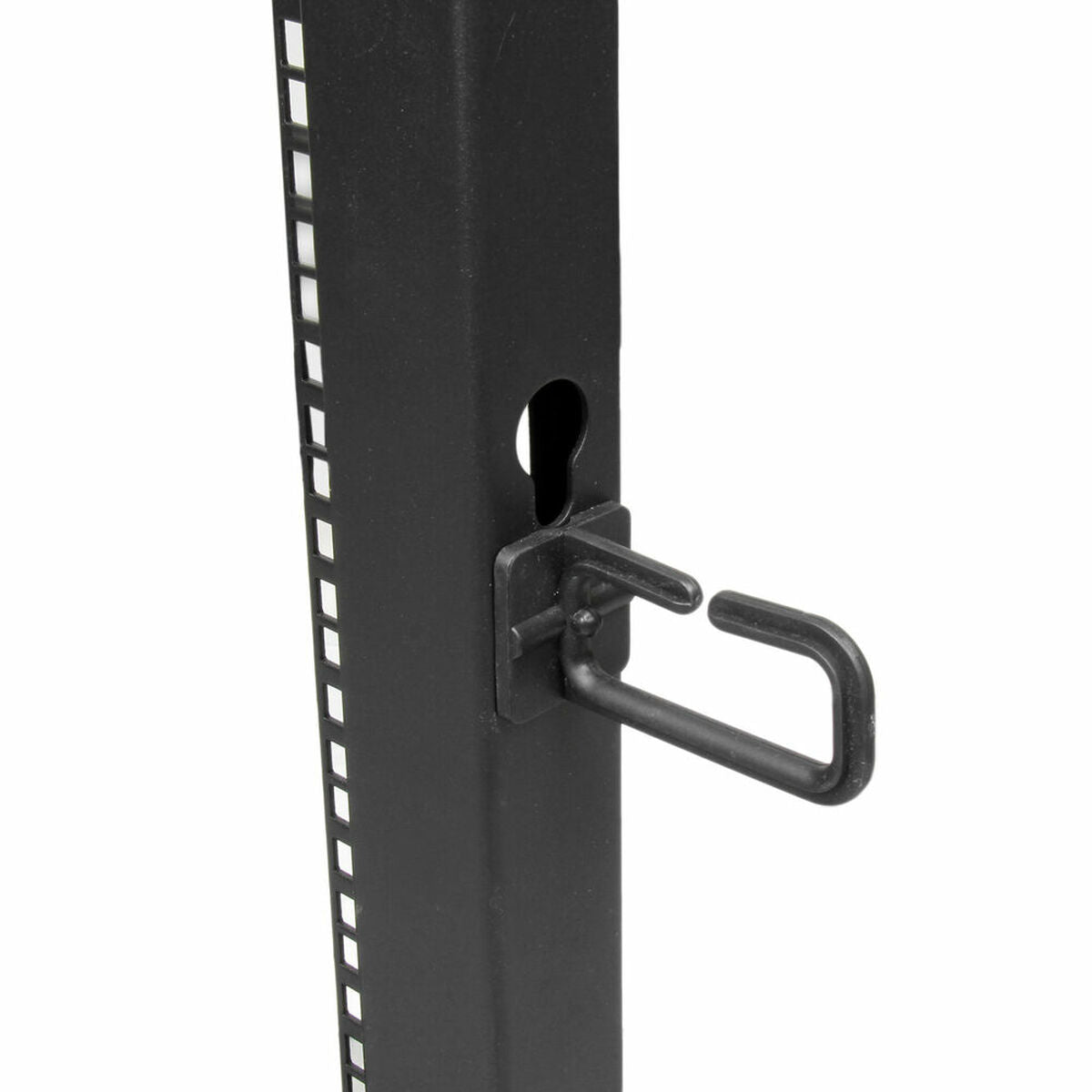 Wall-mounted Rack Cabinet Startech 4POSTRACK15U