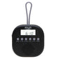 Radio Adler ad 1912 Black