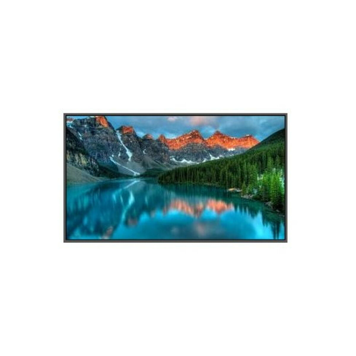 Monitor Dahua 1.5.01.98.52573