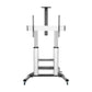 TV Mount Aisens FT100TE-125 100" 60-100"