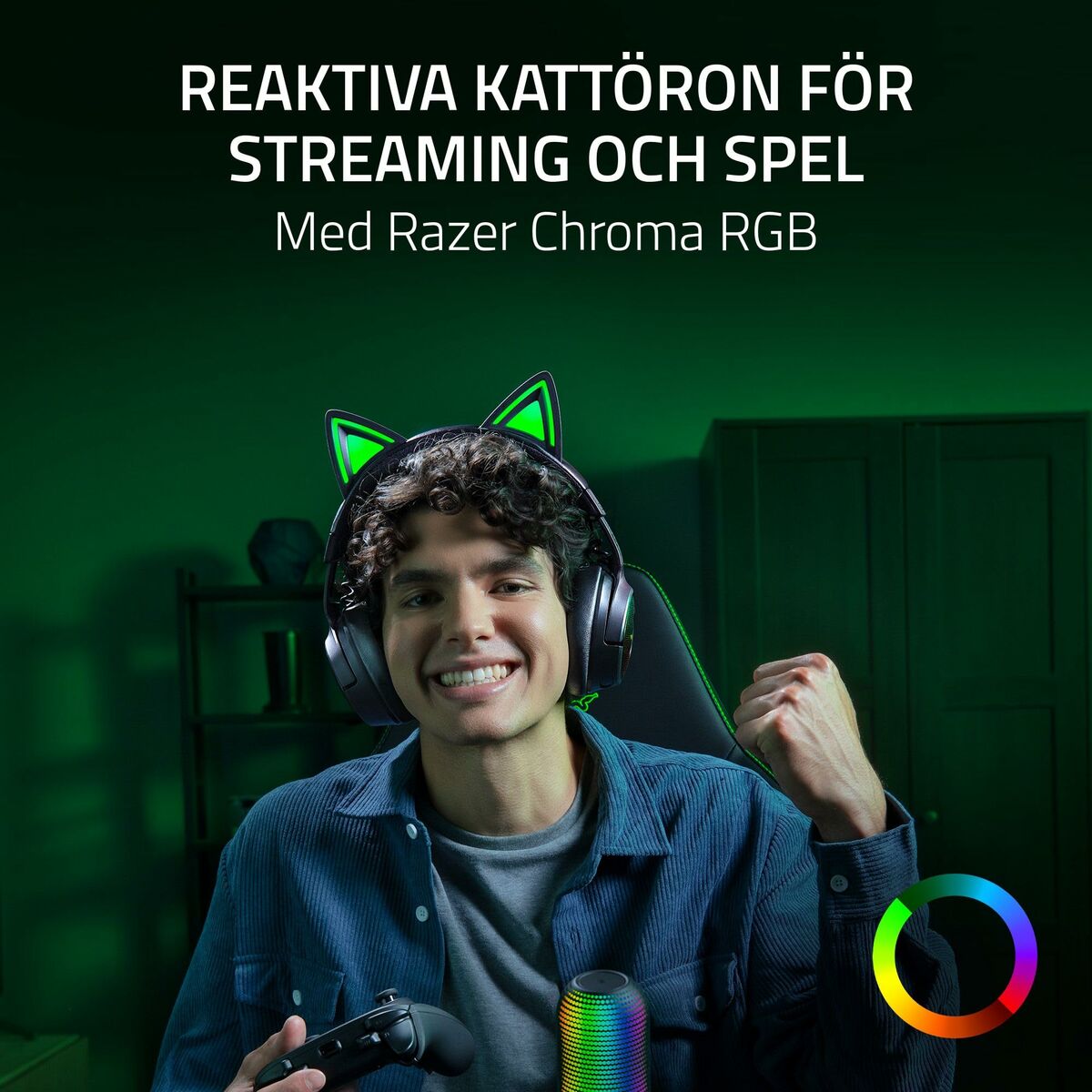 Headphones Razer RZ04-05170300-R3M1 Black