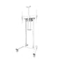 TV Mount Neomounts FL55-875WH1